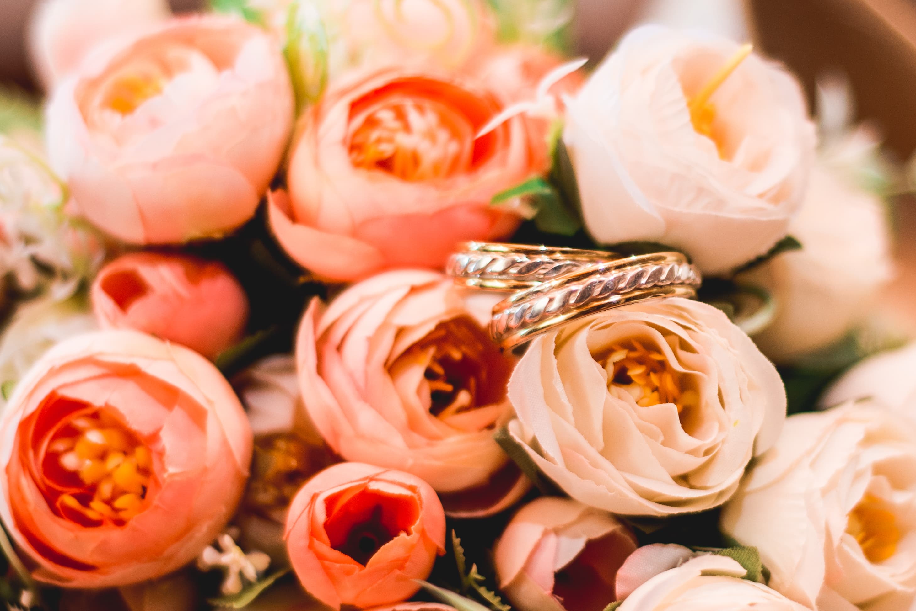 Bride and groom walking through a vineyard at dusk in golden Istrian light